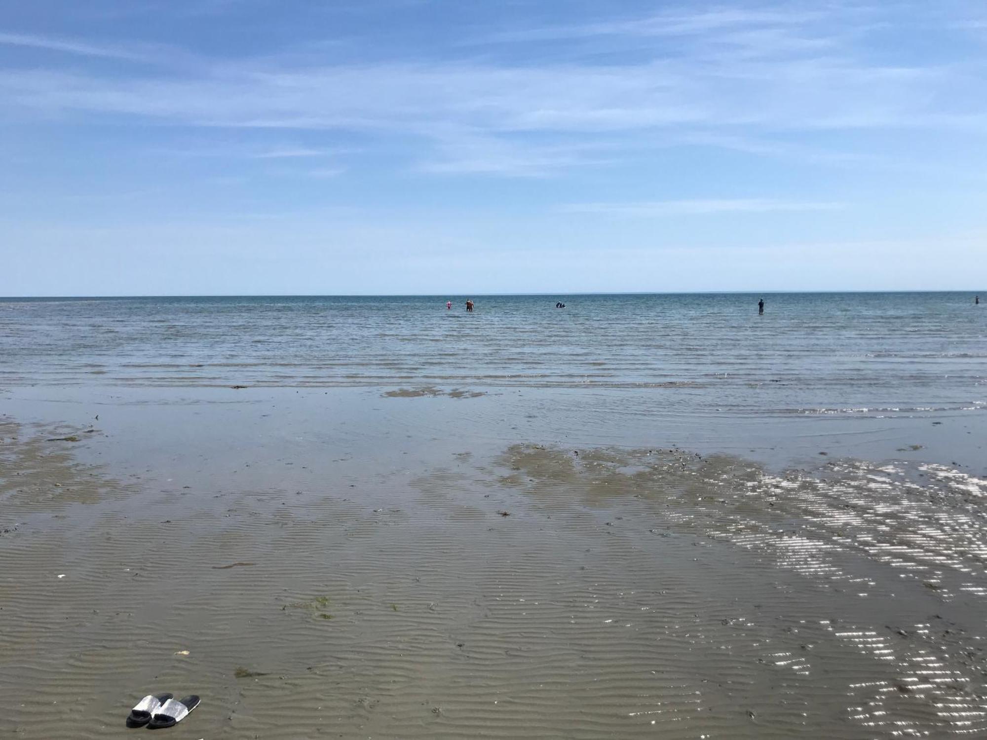 Stay At 'The Elms' In Tranquil Church Norton, Selsey - Ground Floor Bedroom, Own Private Bathroom, Quiet Beach, 2 Acre Garden By The Sea, On Edge Of Wildlife Nature Reserve Exterior foto